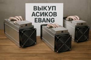Выкуп асиков Ebang