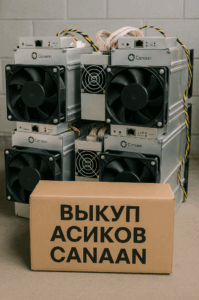 Выкуп асиков Canaan