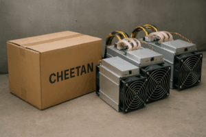 Выкуп асик Cheetan
