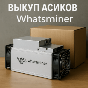 Выкуп асиков Whatsminer